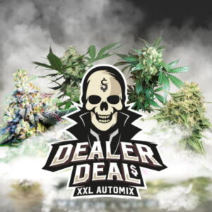 Dealer Deal Auto Mix 4 Stk.