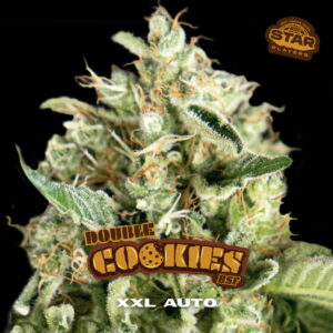 Double Cookies Auto 2 Stk.