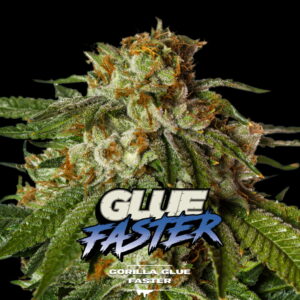 Gorilla Glue Fast Version 2 Stk.