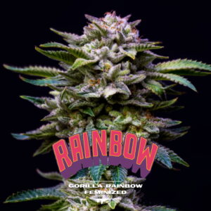 Gorilla Rainbow 2 Stk.