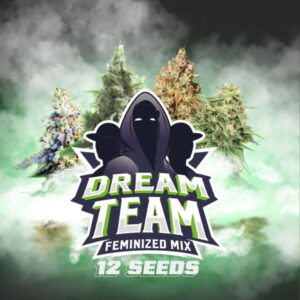 Dream Team Fem. Mix 4 Stk.