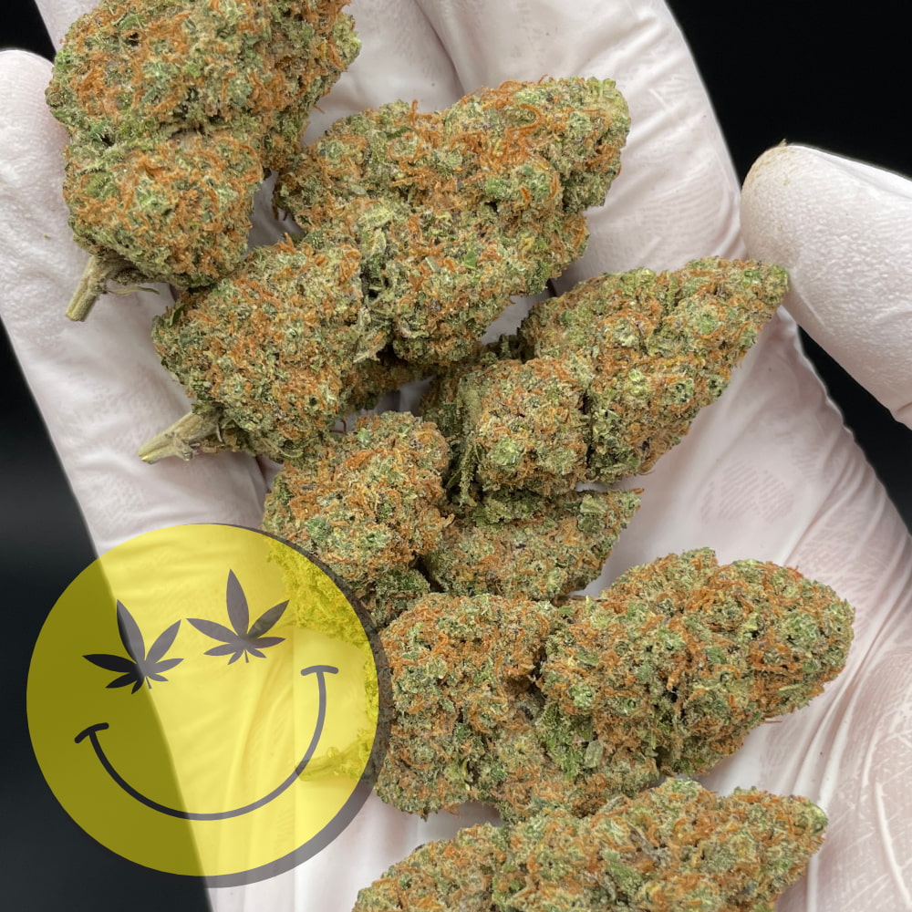 Girl Scout Cookies CBD