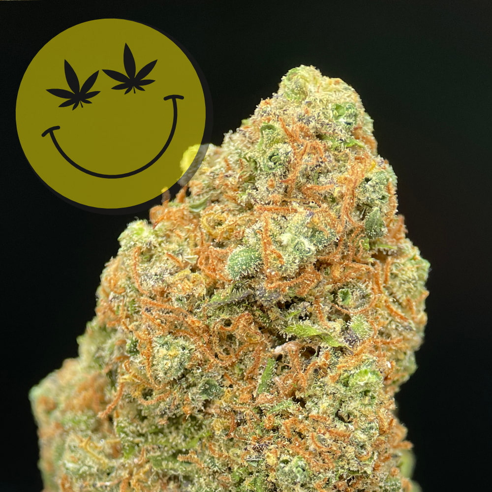 Girl Scout Cookies CBD Blüten