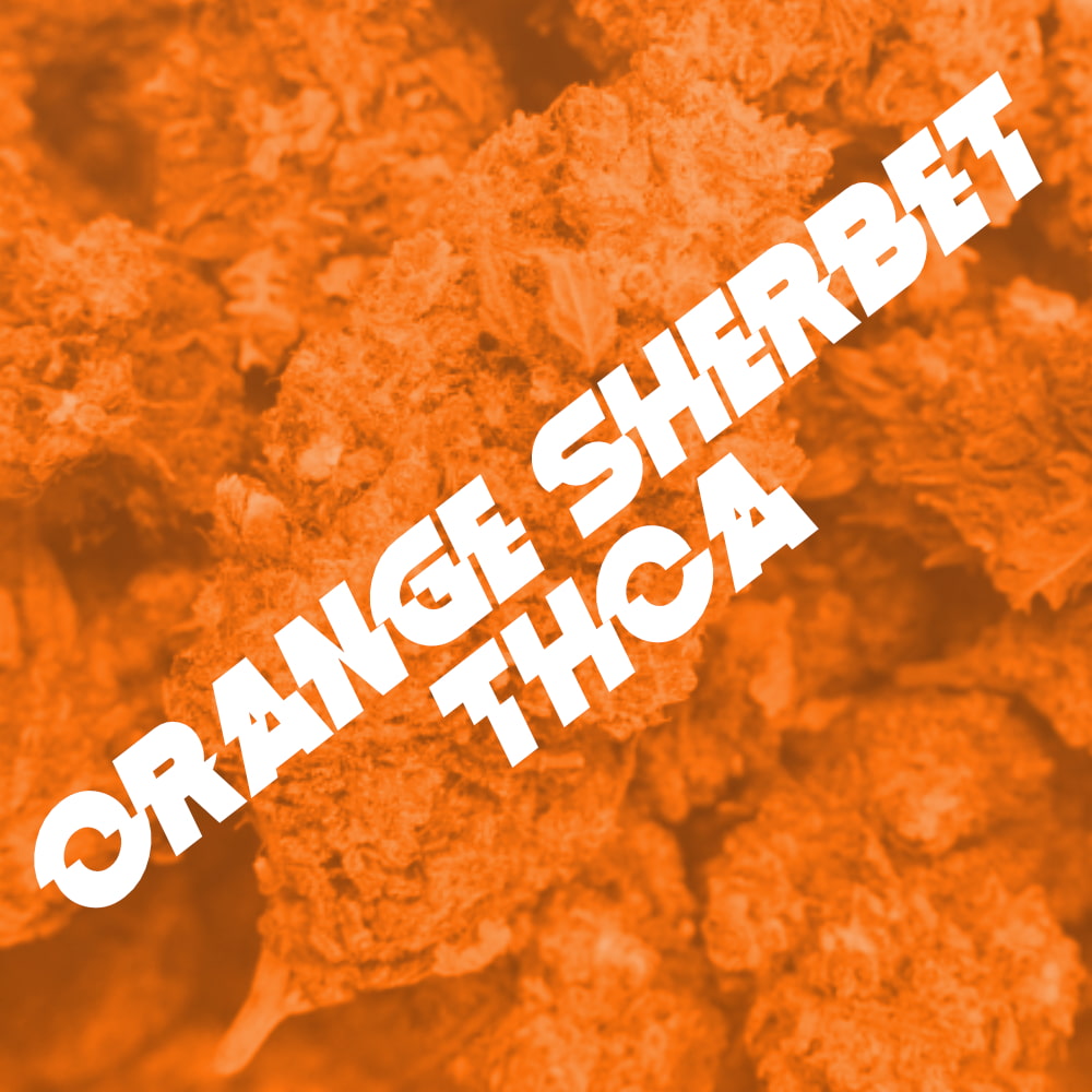 Orange Sherbet THCA Blüten