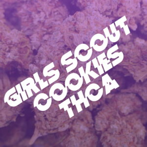 Girls Scout Cookies THCA Blüten