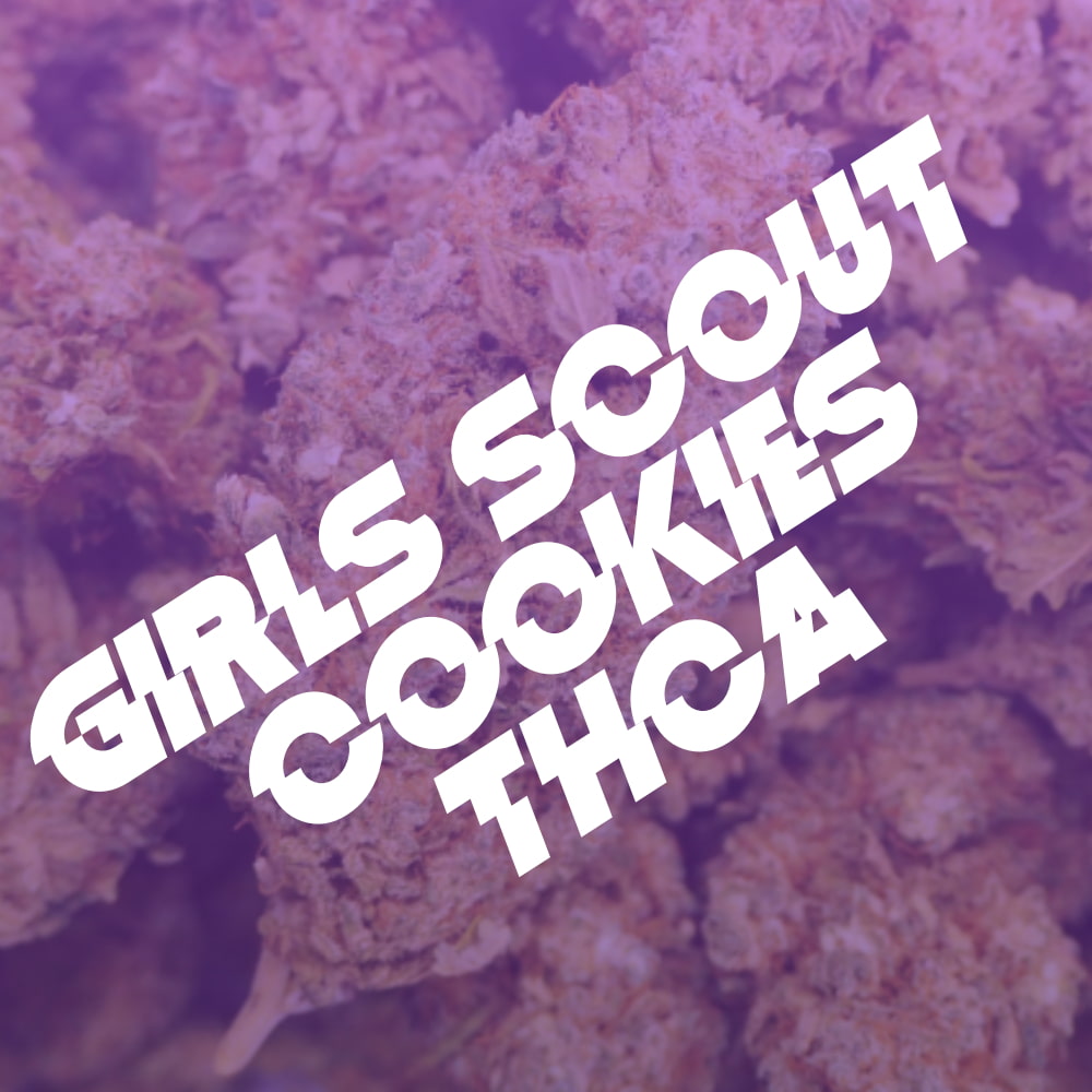 Girls Scout Cookies THCA Blüten