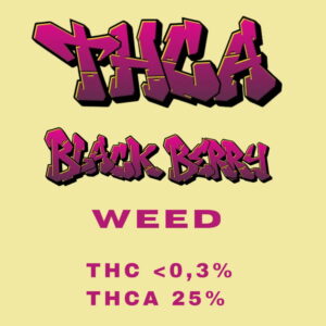 Black Berry THCA Blüten