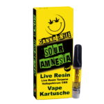 Sour Amnesia